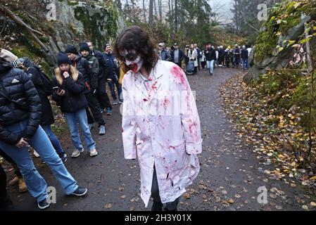 Halloween zombies in the fog during Halloween at Kolmarden Zoo on Saturday. Between October 16 and November 7, Halloween is organized in the zoo just outside Norrköping, Sweden. Stock Photo