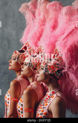 Three Woman in brazilian samba carnival costume with colorful feathers  plumage Stock Photo - Alamy