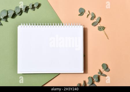 An empty notebook on a beige background with eucalyptus branches. A romantic note. Flat layout, top view, place to copy. Stock Photo