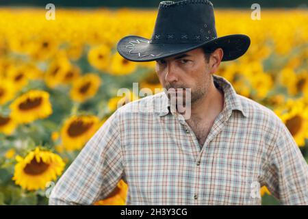 Man farmer standing in a sunflower field. Stock Photo