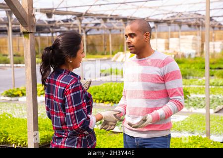 Two latino garden workers discussing working process Stock Photo
