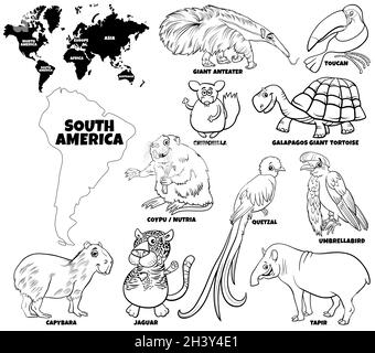 Cartoon South American animals set coloring book page Stock Photo