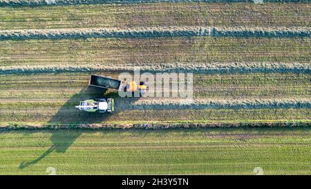 Aerial of tractor baler making straw bales in field after wheat harvest in summer on farm Stock Photo