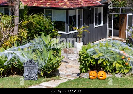 Halloween in Australia spiders web and pumpkins decorate a garden in north Sydney for halloween, Australia Stock Photo