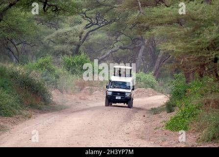 Tourists in a closed 4WD Toyota Landcruiser safari vehicle with a pop-top roof driving through Lake Manyara National Park located in Arusha Region Tanzania Eastern Africa Stock Photo