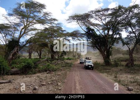 Tourists in a closed 4WD Toyota Landcruiser safari vehicles with a pop-top roof driving through the Ngorongoro Conservation Area and a World Heritage Site in the Crater Highlands area of Tanzania Eastern Africa Stock Photo