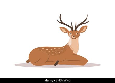 Stylized noble sika deer. Lying reindeer with antlers on white background. Ruminant mammal animal. Vector illustration in flat cartoon style Stock Vector