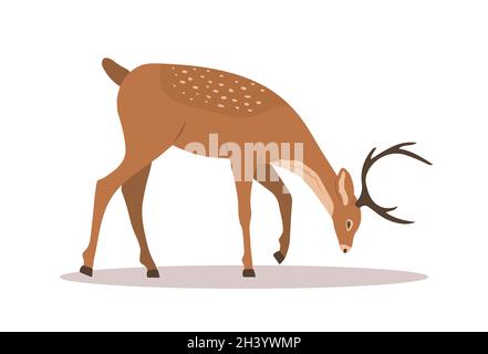 Stylized noble sika deer. Grazing reindeer with antlers on white background. Ruminant mammal animal. Vector illustration in flat cartoon style Stock Vector