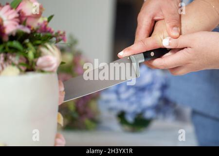 Detail of bride and groom cutting wedding cake after getting married Stock Photo