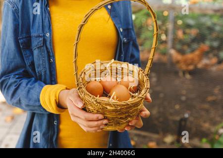 Midsection of asian boy holding basket, collecting eggs from hen house in garden Stock Photo