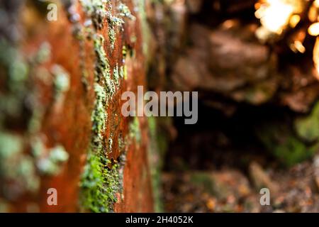 Geological fault polishing. Caused by two stone layers sliding against each other to create a polished surface. Stock Photo