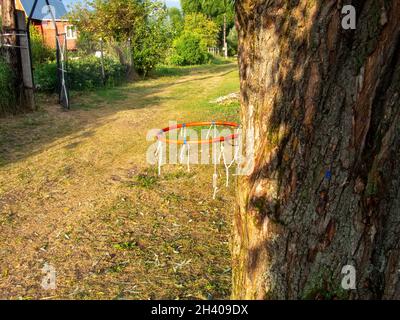 basketball hoop on a tree in the village, in summer Stock Photo