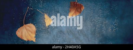 Autumn rain panorama, abstract background with raindrops Stock Photo