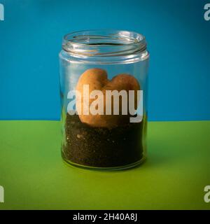 heart-shaped potatoes in a jar on a blue and green background Stock Photo