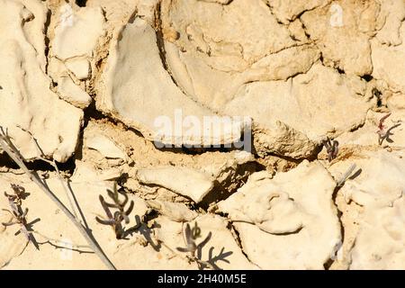 Cracked earth due to lack of water in Spain, Europe Stock Photo