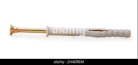 One countersunk self-tapping screw in a plastic dowel isolated on a white background, close-up Stock Photo