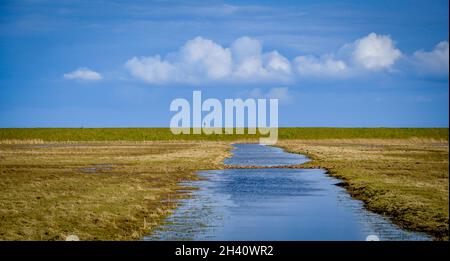 A single unidentified figure can be seen on the flat horizon of a sea wall under fair weather clouds with a long wetland pond in the foreground. Stock Photo