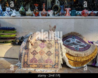 ISTANBUL, TURKEY - AUGUST 8, 2021: Stray cat standing relaxed on traditional Turkish carpets at the entrance of a ceramic shop in the Grand Bazaar Stock Photo