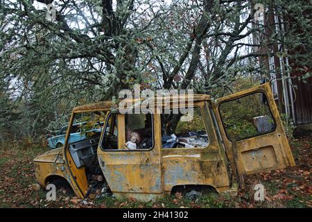 Bastnäs Car Cemetery in October Stock Photo