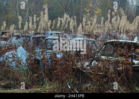 Bastnäs Car Cemetery in October Stock Photo