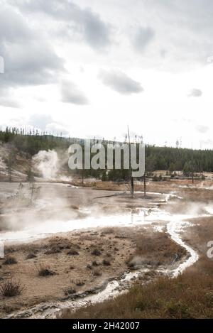 Steaming Mud Pod Area in famous Yellowstone National Park, USA Stock Photo