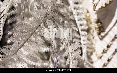 Beautiful white christmas tree branches isolated on white Stock Photo
