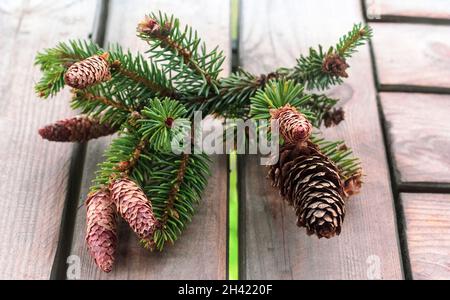 Fir cones on wooden planks, background decoration Stock Photo