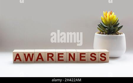 Awareness word written on a wooden block, near a cactus flower on a white background, concept. Stock Photo