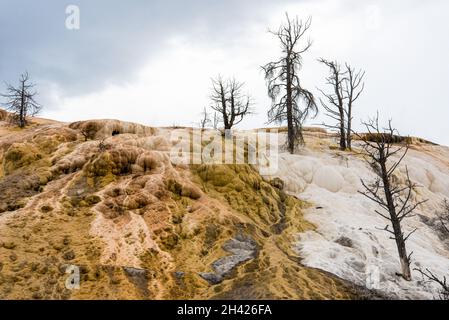 Scenic lifeless calcium terraces at Mammoth Hot Springs, Yellowstone National Park, USA Stock Photo