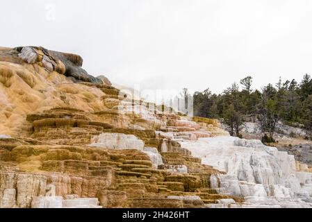 Scenic lifeless calcium terraces at Mammoth Hot Springs, Yellowstone National Park, USA Stock Photo