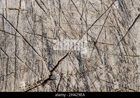 Texture of old rugged gray hemp with cracks closeup with selective focus Stock Photo
