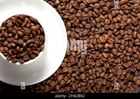 White coffee mug filled with coffee beans Stock Photo