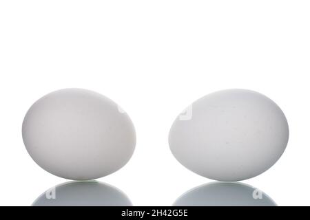 Two white chicken eggs, close-up, isolated on white. Stock Photo