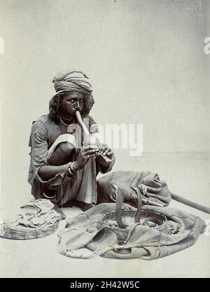 An Indian snake charmer squatting down playing his pipe, with two cobras in a basket in front of him, in a studio setting. Photograph, ca.1900. Stock Photo