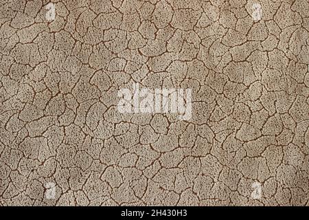 fabric texture. Background of textile texture. Different colors Macro Stock Photo