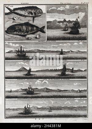 A study on marine mammals found along the northwestern coast of North ...