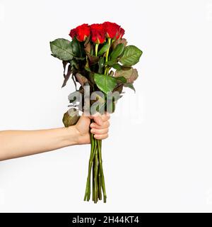 Beautiful bouquet of red roses in a woman hand isolated on white background. Trendy poster for Valentines Day, International Womens Day or mothers day Stock Photo