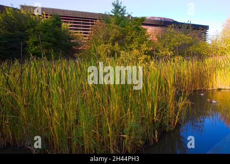 France, Paris, Musée du quai Branly, museum, Stock Photo