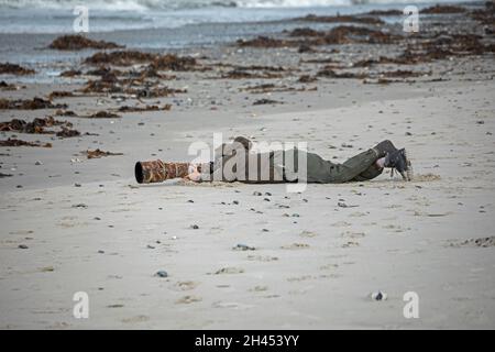 Birdwatcher with telephoto lens at the beach, Düne, Heligoland Island, Schleswig-Holstein, Germany Stock Photo