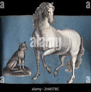 A fox and a horse. Cut-out engravings pasted onto paper, 16 Stock Photo ...