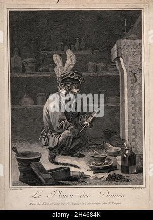 A monkey holding a clyster in an apothecary's shop. Engraving by F. Basan after D. Teniers the younger. Stock Photo
