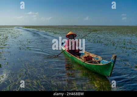 Sunarti (35 years old) rows her boat during sunsetThe life of the Bajo tribe, from birth to adulthood, lives and lives above the sea. everything is done there, from looking for food to all life activities carried out in the sea. Dimas Saputra (10 years old) is one of the many children who became an accomplished bajo child with extraordinary diving skills at a young age. Since childhood, his father Muhammad Ajran and his mother Sunarti have been accustomed to knowing and uniting with nature, namely the sea. (Photo by Andry Denisah/SOPA Images/Sipa USA) Stock Photo