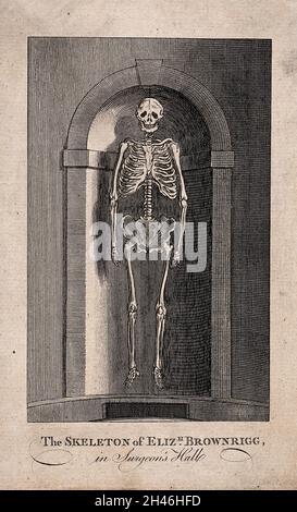 Elizabeth Brownrigg: her skeleton displayed in a niche at Surgeons' Hall, Old Bailey, London. Engraving. Stock Photo