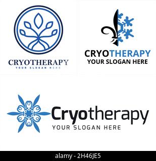 Modern spa aesthetics cryotherapy snowflake Fleur De Lis logo design Stock Vector
