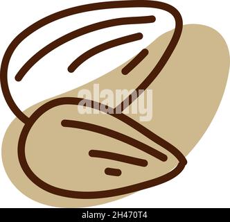 Two almond nuts, illustration, vector, on a white background. Stock Vector