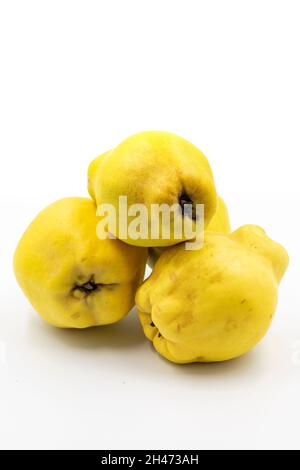 Quince on a white background. In combination with the shade of ripe quince. Story format close-up Stock Photo
