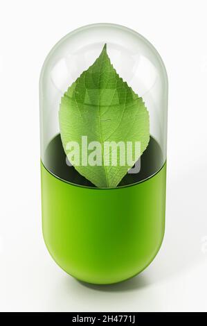 Green leaf inside the capsule pill. 3D illustration. Stock Photo