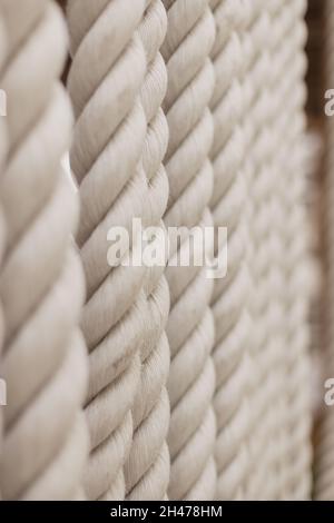 Strong white ropes weigh upright on white background Stock Photo