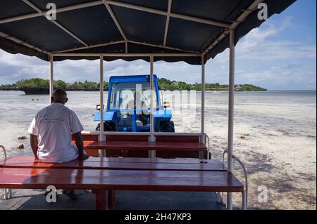 A tractor ferry pulling a covered wagon with guests across exposed sea bed at low tide, Chale Island, Kenya Stock Photo