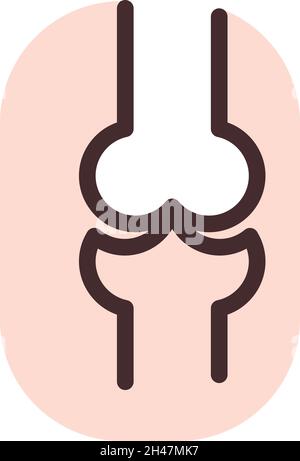 Knee bones, illustration, vector, on a white background. Stock Vector